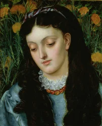 La Bella Violaciocca