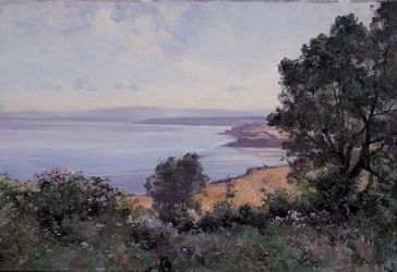 Douarnenez grano e alberi in vista