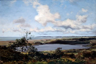 Lo stagno della bolla, 1879