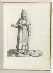 Hispana rustica