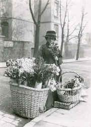 Una venditrice di fiori