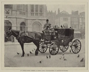 Un vetturino amante degli animali, Una scena recentemente fotografata a Kingston-on-Thames