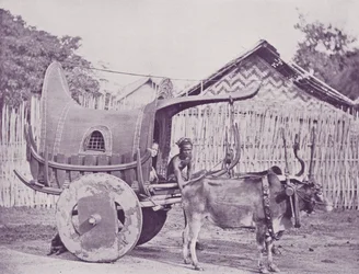 Carrozza Birmana e Coppia