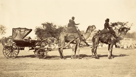 Carrozza a cammello, c.1860