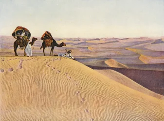 Cammelli nel Sahara (foto a colori)