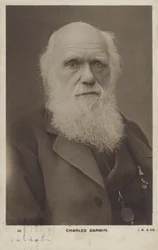 Charles Darwin (1809-1882), naturalista inglese