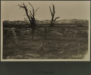 Dixmude, c.1916-19