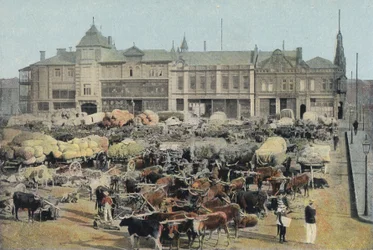 Mercato del mattino presto, Johannesburg