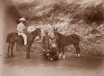Cavalli a Simla, Queen Mab e Gladys