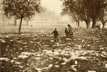 Erba cosparsa di rifiuti a Hampstead Heath il giorno dopo un giorno festivo, da «Wonderful London», pubblicato nel 1926-27