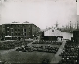 Docks di Londra