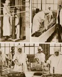 Preparazione del catgut nella fabbrica dell
