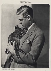 Principe di Galles e Digger, un cucciolo di canguro