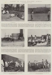Scene nella Bombay colpita dalla peste