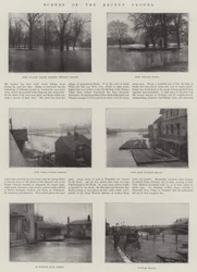 Scene delle recenti inondazioni