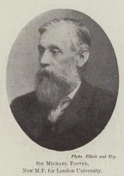 Sir Michael Foster, Nuovo Deputato per l