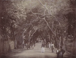 Strada Skinners, Colombo