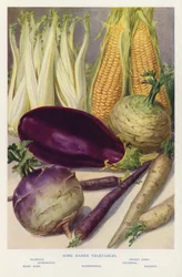 Alcune verdure più rare