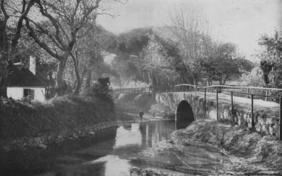 Sud Africa: Il Ponte, Mowbray