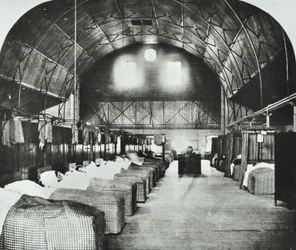 St Thomas Hospital: reparto temporaneo nel Surrey Gardens Music Hall, 1868