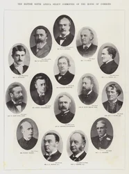 Il comitato selezionato dell