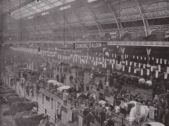 Mostra del bestiame, Royal Agricultural Hall