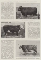 Il centenario della mostra di bestiame del Smithfield Club