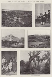 La peste a Bombay, vedute della città