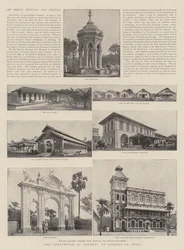 La prevenzione della crudeltà verso gli animali in India