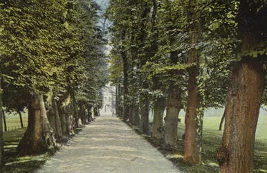 Trinity College, il Viale