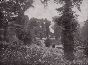 Vista dai Giardini della Terrazza, Richmond, guardando a Monte