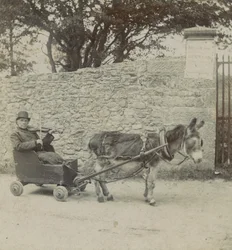 Violinista trainato da un asino