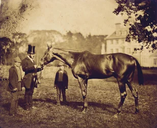 Wild Dayrell, vincitore del Derby nel 1856