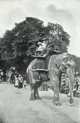 Giardini zoologici, bambini che cavalcano gli elefanti