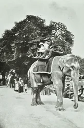Giardini Zoologici, Regents Park: giri in elefante, Londra, c.1895