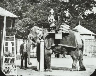 Giardini Zoologici, Regents Park: elefante con adulti e bambini in sella, Zoo di Londra, 1894