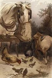 Un buco nel sacco