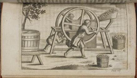 Una macchina per spremere frutta, illustrazione da 