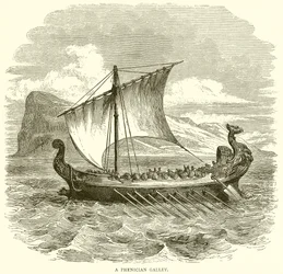 Una galea fenicia