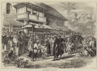Un matrimonio di tigri a Coorg, India