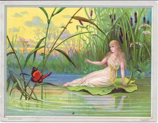 Una cartolina di auguri vittoriana di una fata sdraiata su una foglia di loto che guarda una farfalla su uno sfondo di giunchi, c.1880
