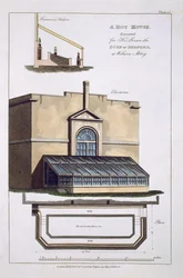 Una serra calda eseguita per Sua Grazia il Duca di Bedford a Woburn Abbey, 1806