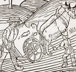 Una coppia di buoi attaccati a un aratro, frontespizio dal Boke of Husbandry di John Fitzherbert, prima pub. 1523