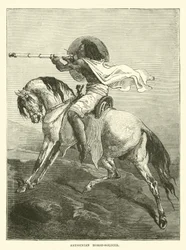 Cavaliere abissino
