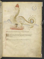 Joachimi Abbatis de Curatio, et Anselmi, Episcopi Marsicani, Vaticinia xxx de Pontificibus Romanis; da Nicolao III. ad Innocentium VIII, c.1500
