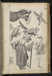 Illustrazione da 