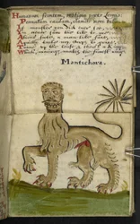 Libro di caccia