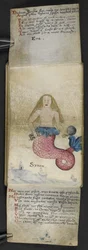 Libro di caccia