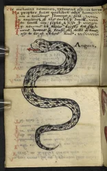 Add MS 57312 f.4 Libro di caccia