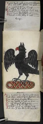 Libro di caccia